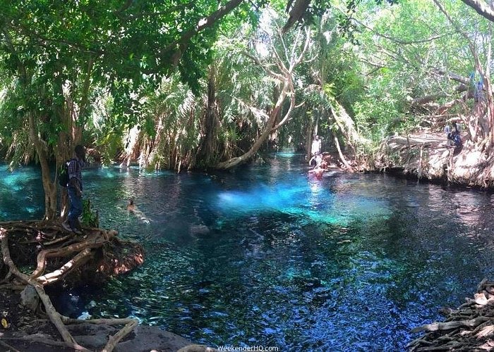 Kilimanjaro Waterfalls Hike & Moshi Hot Springs Day Trip Tour