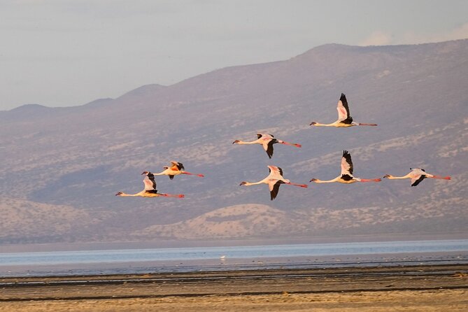 Lake Manyara