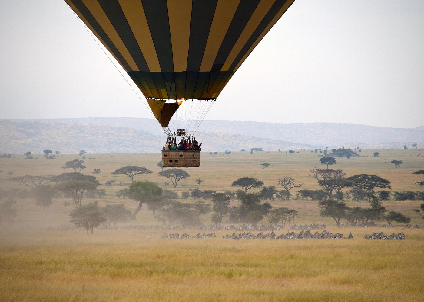 Hot Air Balloon Safari