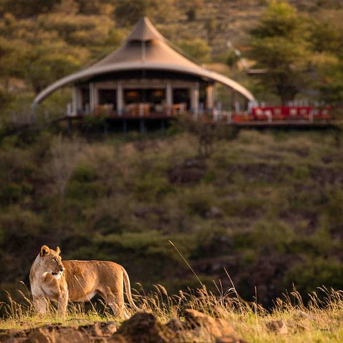 Serengeti
