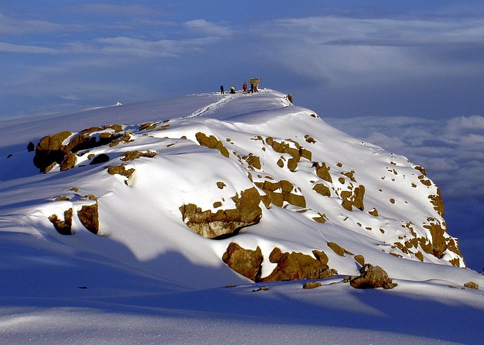 1 Day Marangu route trip up to Mandara Hut | Kilimanjaro hiking