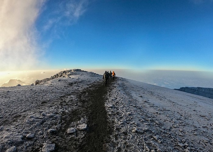 Conquering Kili The 7 Day Lemosho Adventure