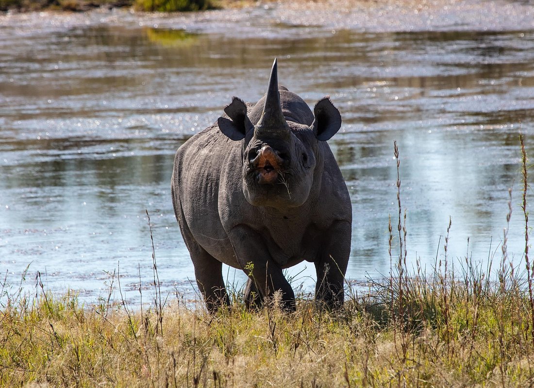 Northern Circuit Safari 4 Days