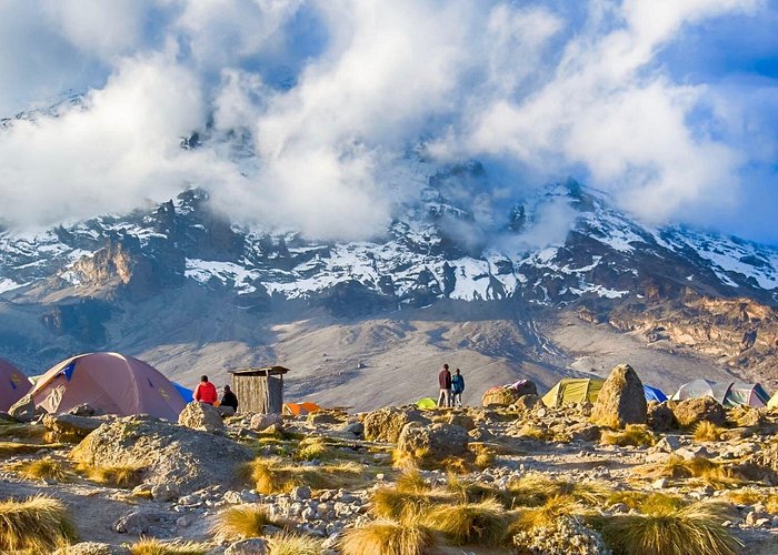 Unforgettable 8 Days Lemosho Route Trekking on Kilimanjaro