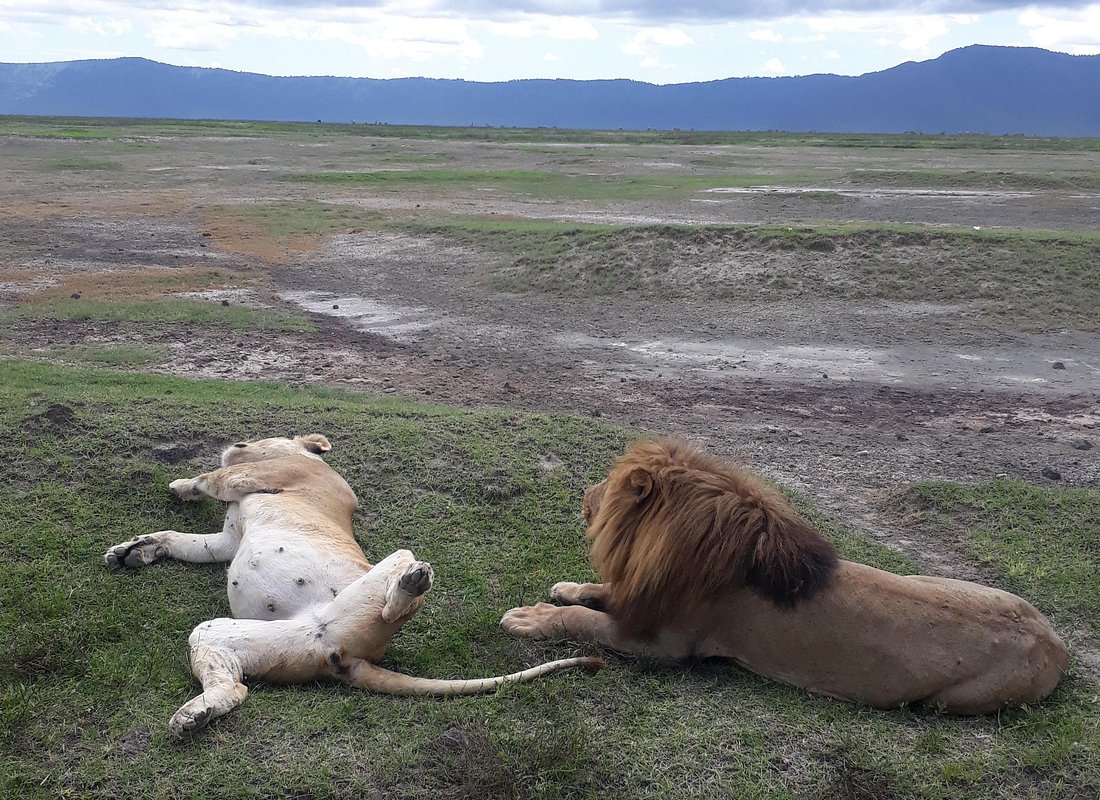 Crater World: 3 Days Ngorongoro, Empakaai and Crater Floor Safari