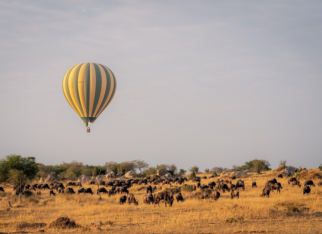 6 Days Classic Safari to Manyara, Ngorongoro & Serengeti