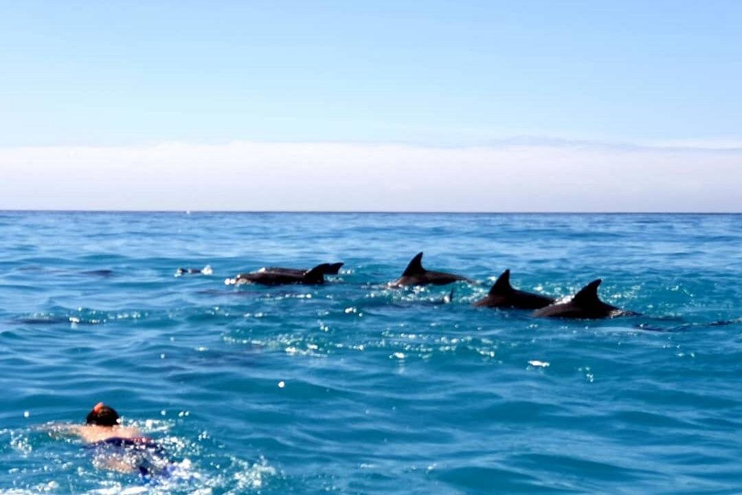 Zanzibar Kendwa tour