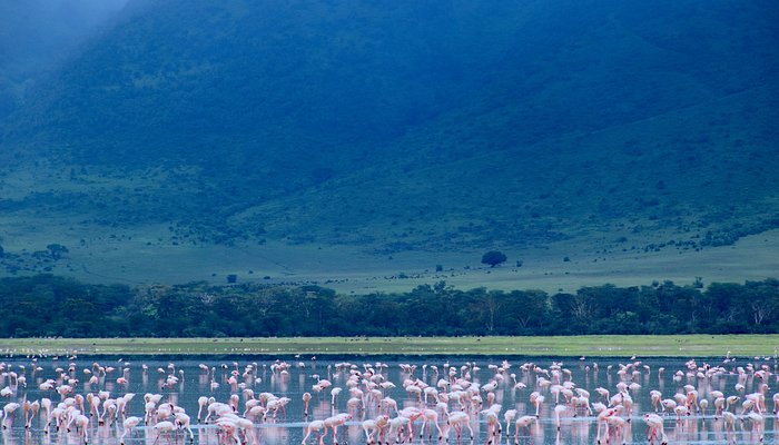 Ngorongoro 4-Day Trip: Sunrise on the Rim