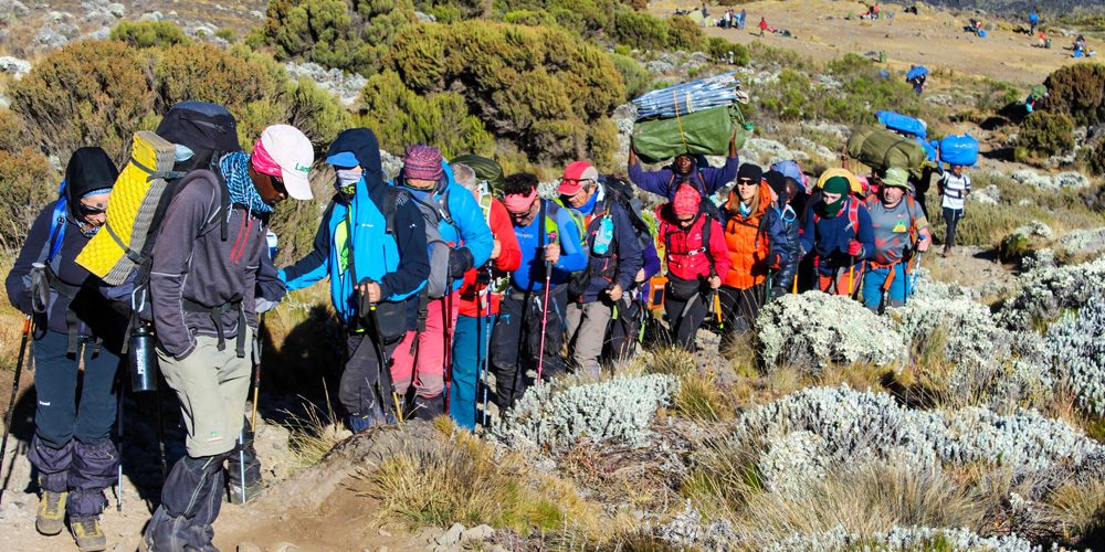 Kilimanjaro – Northern Circuit 9 Days