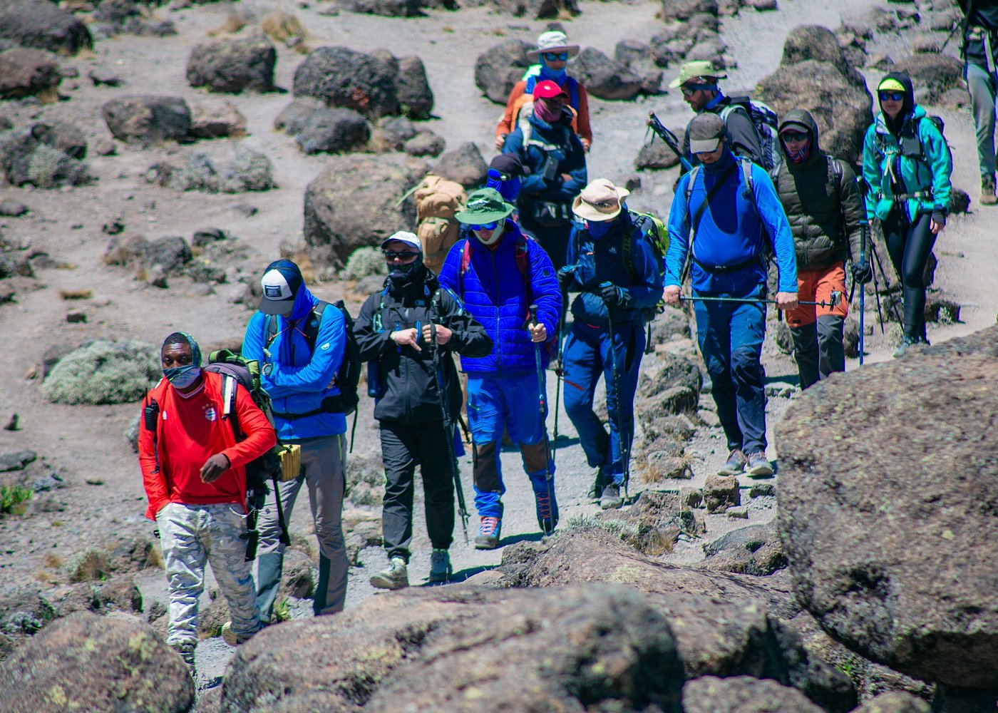 8 Days Kilimanjaro Climb Group Joining Tour via the Lemosho Route