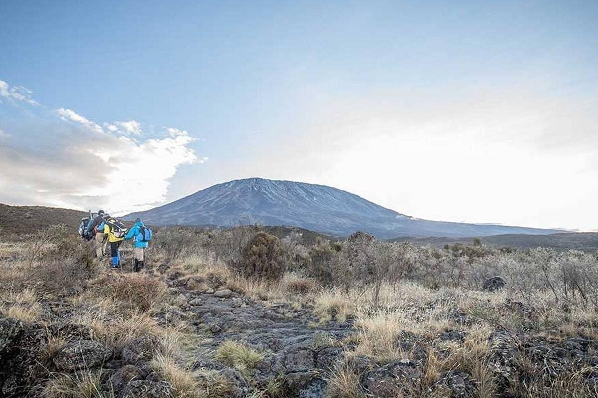Climbing Kilimanjaro - Machame Route