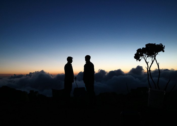 Mountain Kilimanjaro Climbing 7 Days Rongai Route