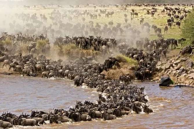 6 Days Tarangire, Ngorongoro & Calving Season in Ndutu