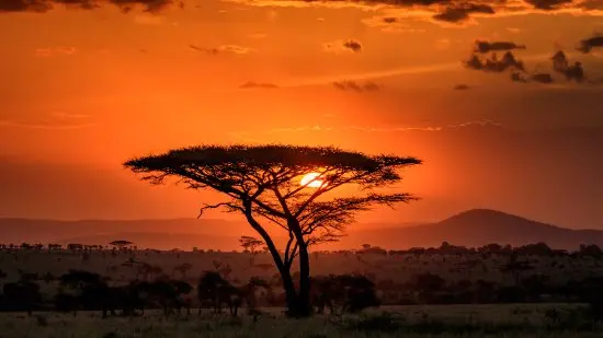 7 Days Classic Northern Circuit – Tarangire, Ngorongoro & Serengeti